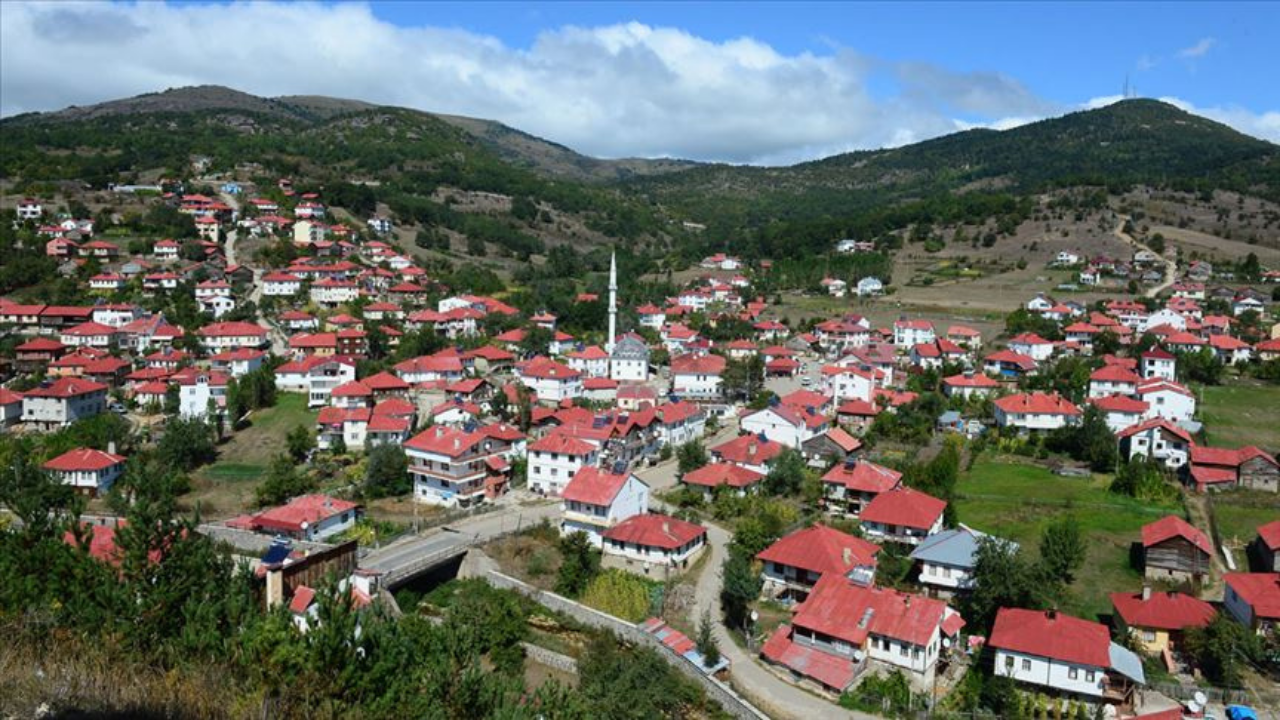 Mesudiye Nakliyat